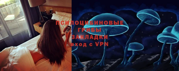 дурь Заводоуковск