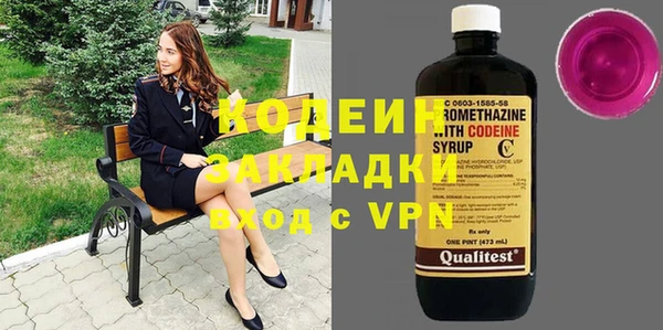 дурь Заводоуковск