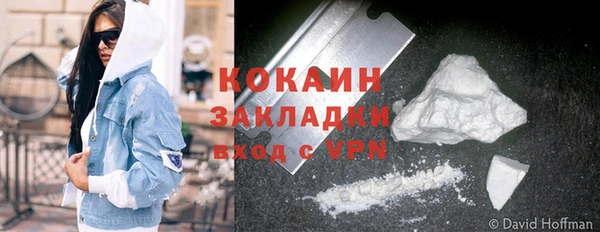 дурь Заводоуковск