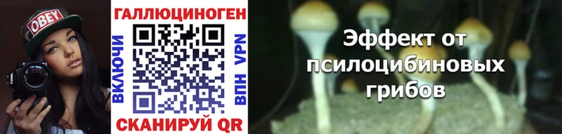 Псилоцибиновые грибы MAGIC MUSHROOMS  Купить закладки  Новая Усмань 